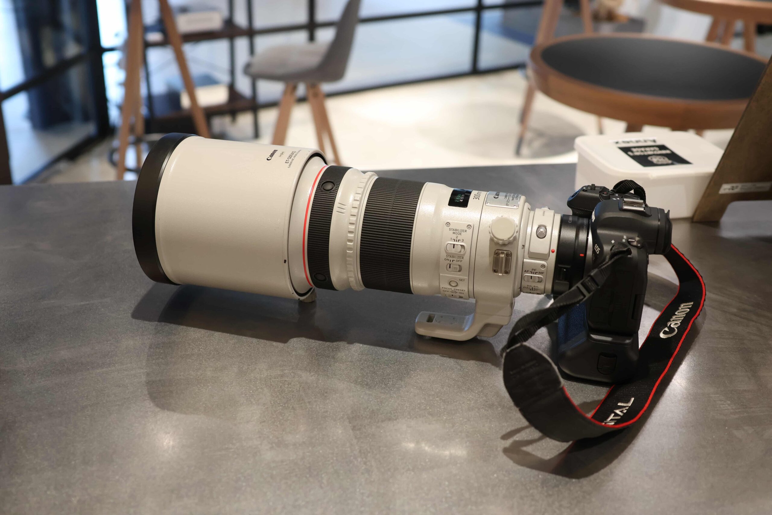 レビュー】Canonレンズ EF300mm F2.8L IS II USMは現役で使える