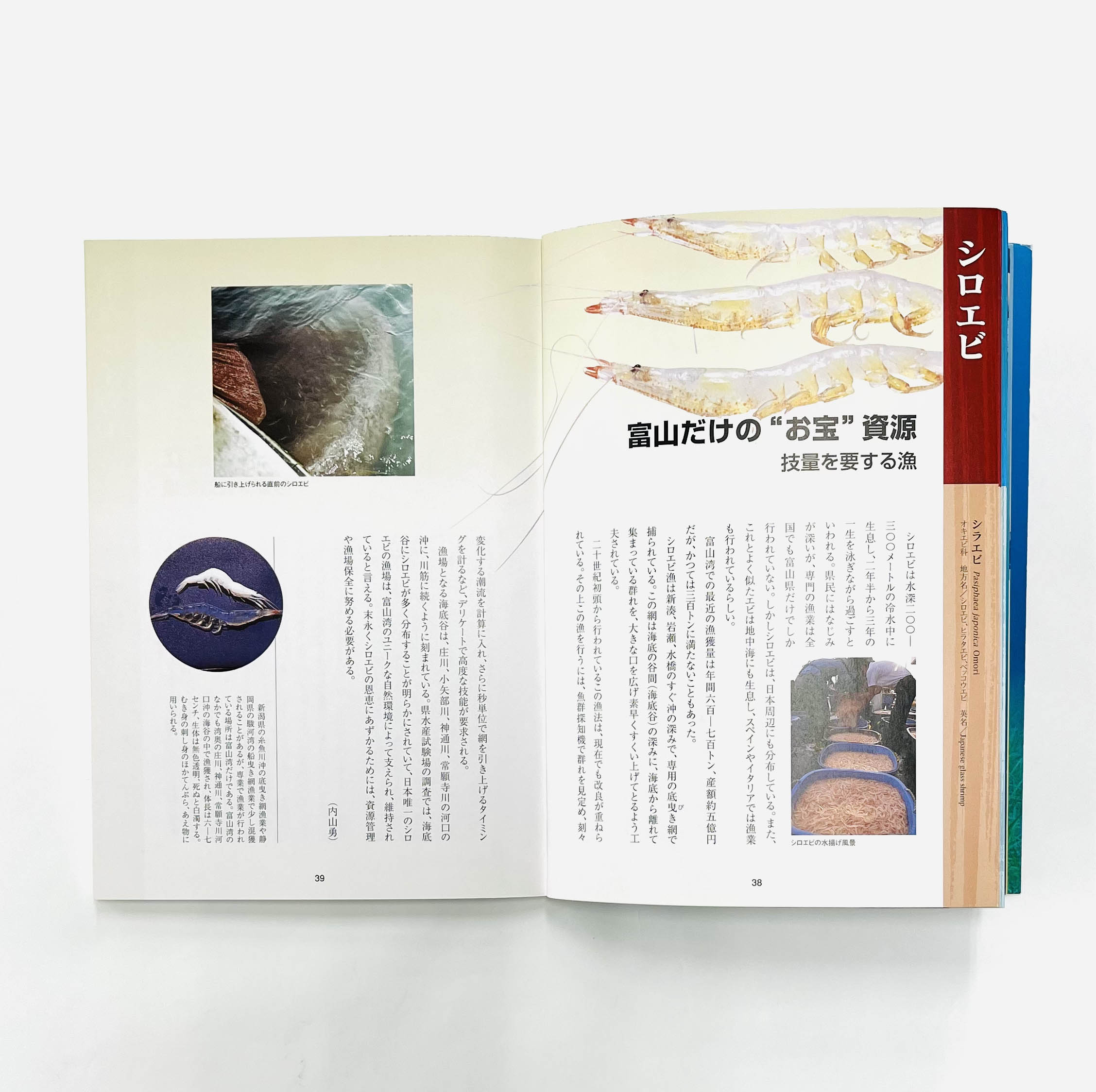 書籍 :: 北日本新聞社の本 :: 富山湾を科学する - とやまーと | 北日本