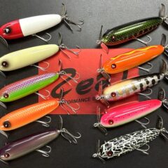 今月のZEALは、新作がダブルで入荷です。 | JUNKFOOD ジャンクフード