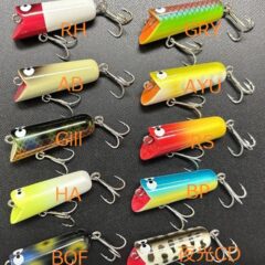 今月のZEALはサーブ3/8!! | JUNKFOOD ジャンクフード