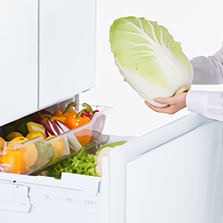 GR-T460FK | 冷蔵庫 | 東芝ライフスタイル株式会社