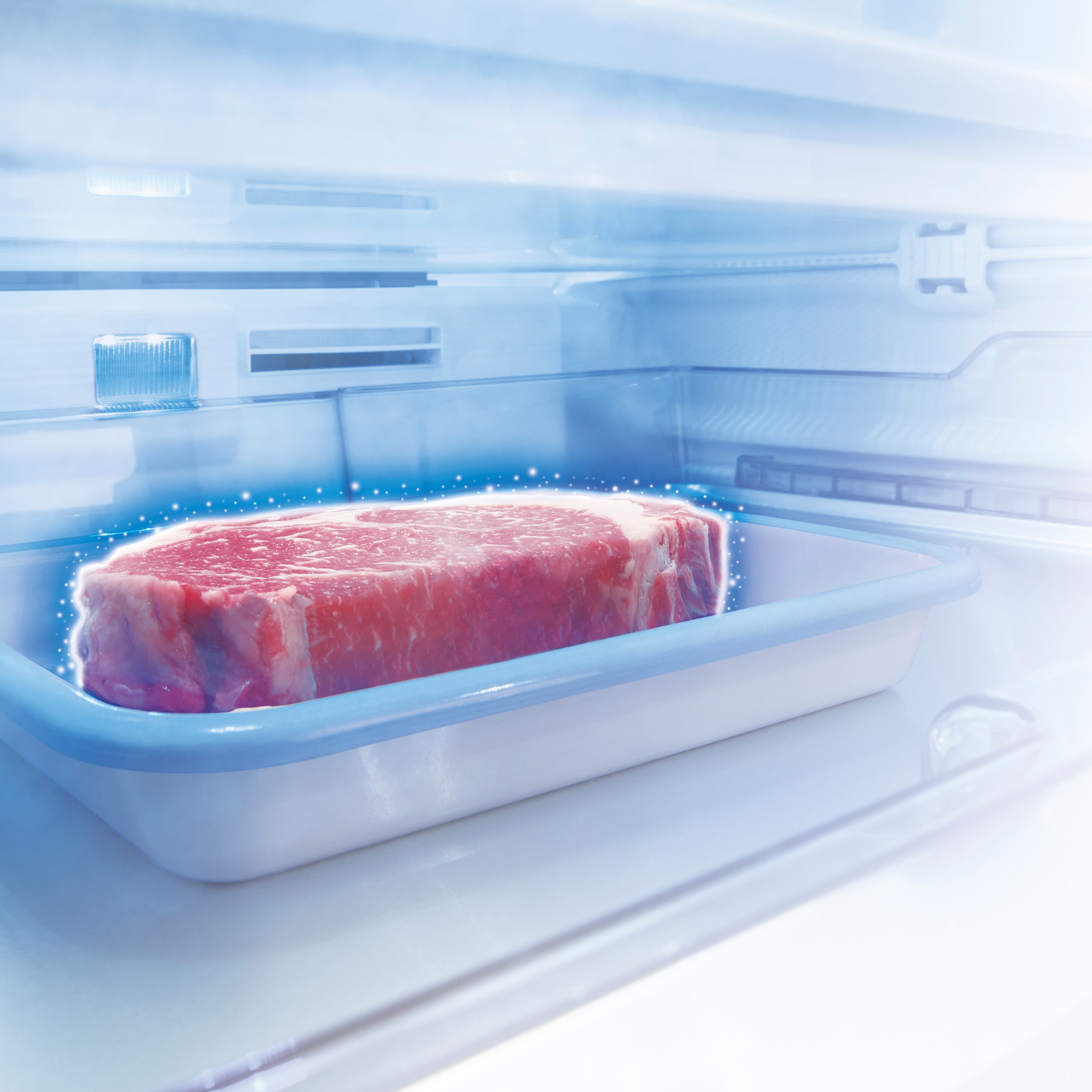 GR-V470GZ | 冷蔵庫 | 東芝ライフスタイル株式会社