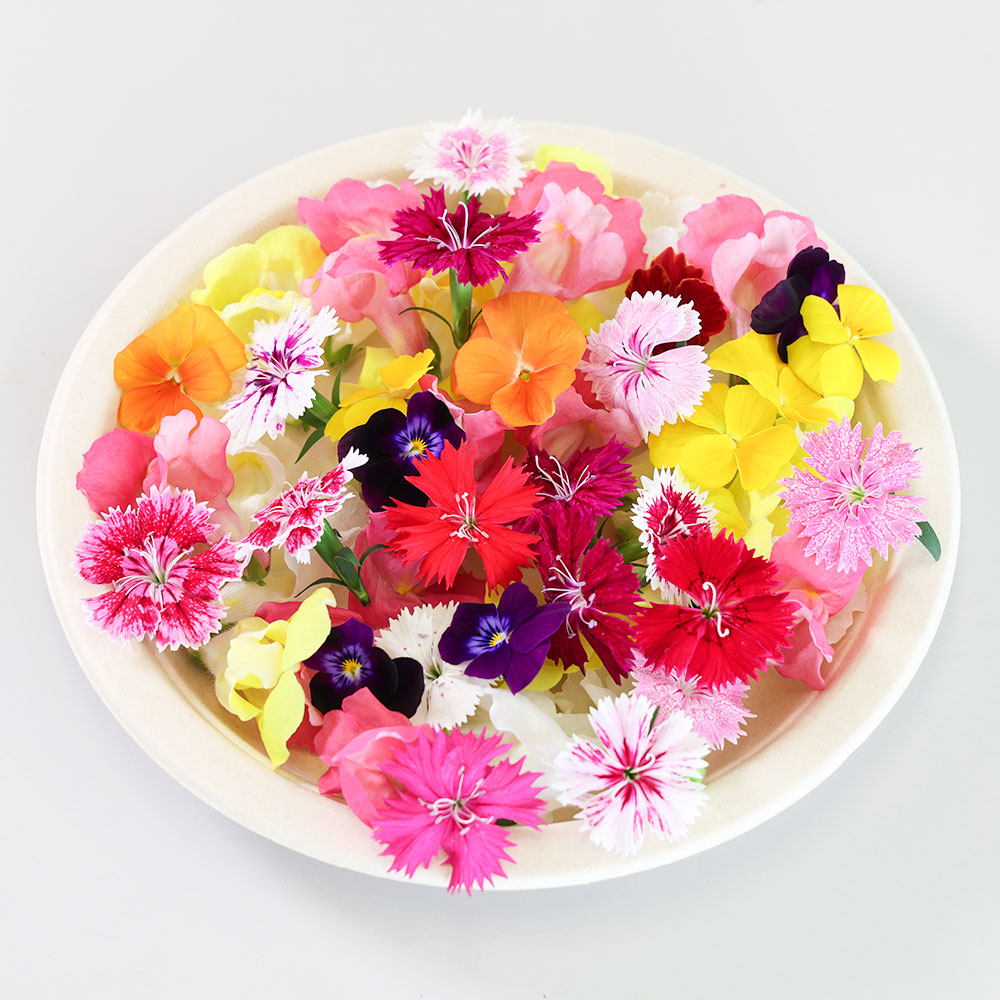 定期便】エディブルフラワーセット（おまかせ6袋入×6ヶ月） | 立山