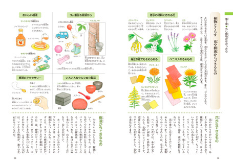 玉川百科 こども博物誌｜玉川学園について｜（学）玉川学園