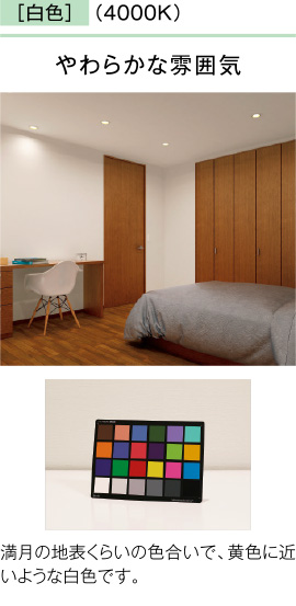 LEDユニットフラット形シリーズ（GX53ソケット対応） | 東芝ライテック(株)