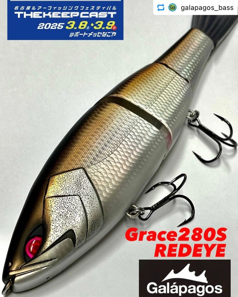 Galapagos』限定販売品情報 | 名古屋フィッシングルアーフェスティバル