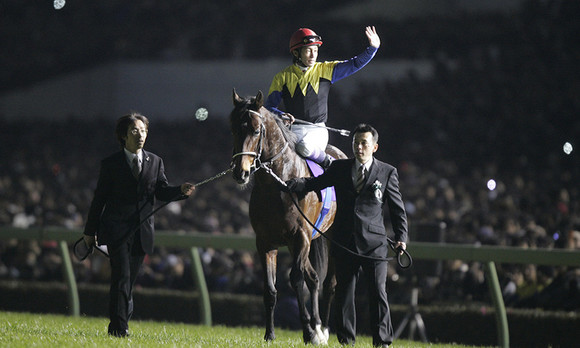 緊急追悼！日本競馬界の宝・ディープインパクトの功績を振り返る