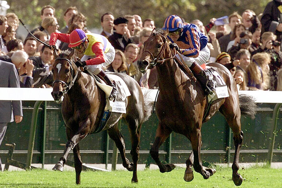 ジャパンC】日本の競馬ファンに最も愛された凱旋門賞馬モンジュー