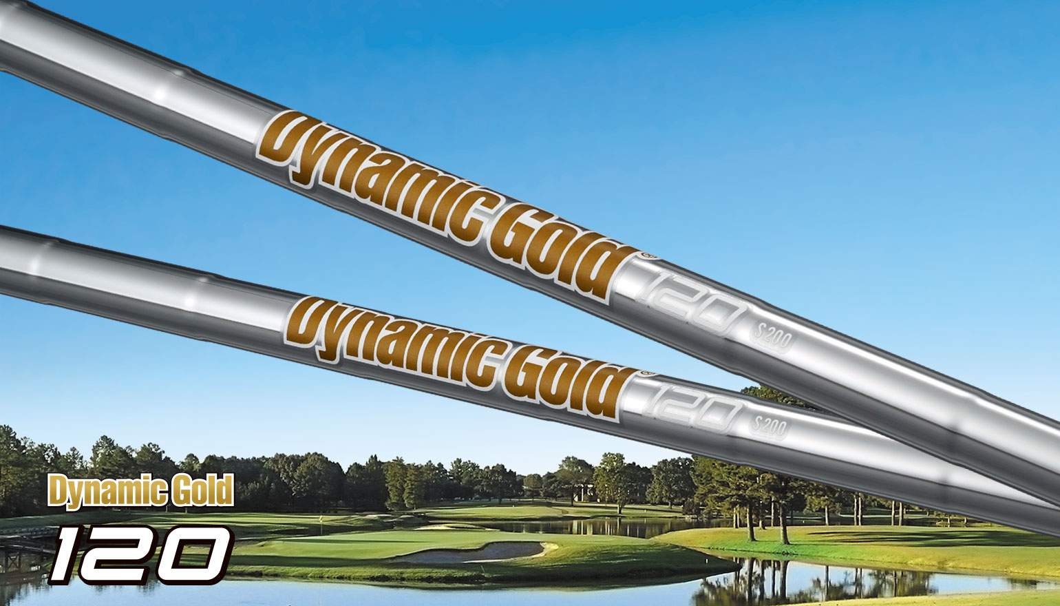 Dynamic Gold 120 - トゥルーテンパースポーツインクジャパン