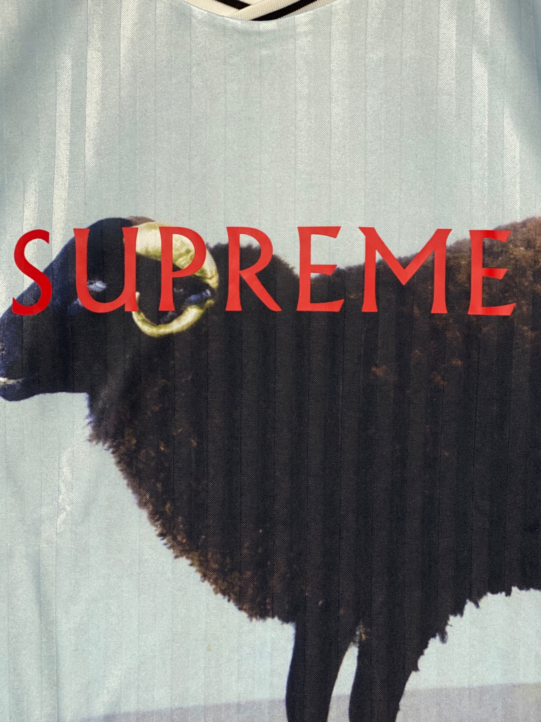 中古・古着通販】SUPREME (シュプリーム) Damien Hirst (ダミアン