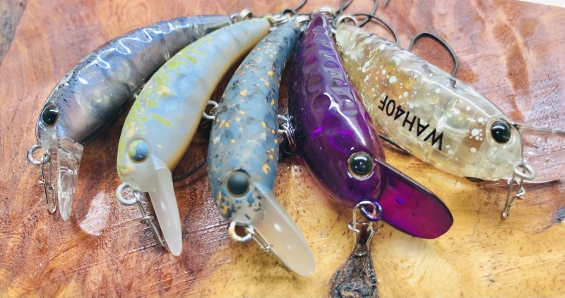 伊勢崎店、高崎店 オリカラルアーWeb販売開始！ | プロショップ