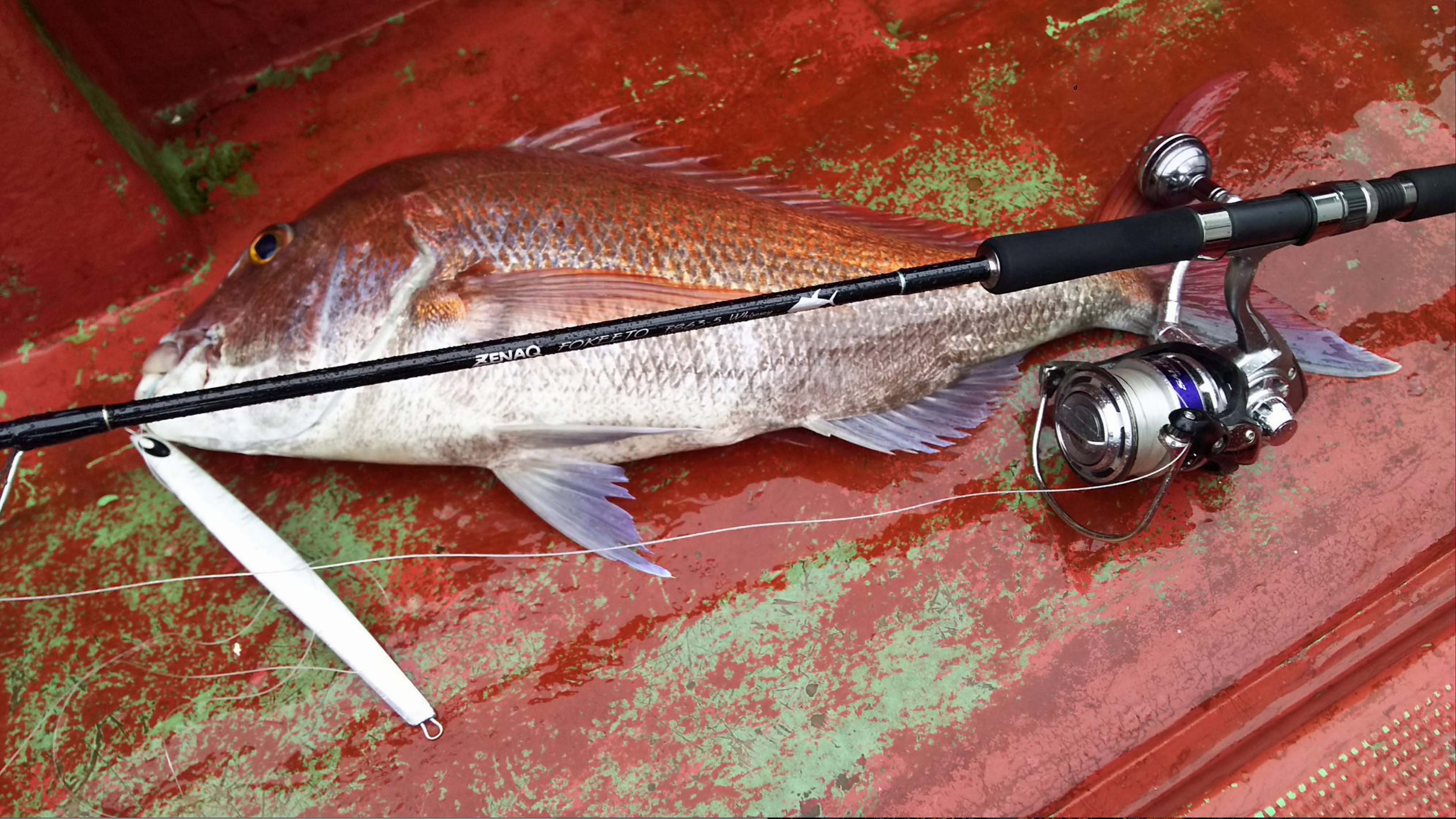 Zenaq Fokeeto Whippy - Le Magazine des Voyages de Pêche