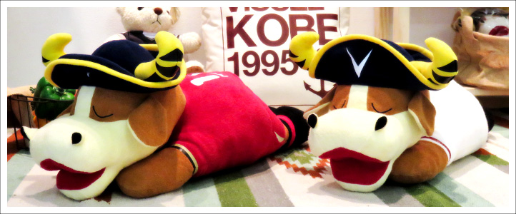 ヴィッセル神戸 ニュース/レポート : ヴィッセル神戸『おやすみ