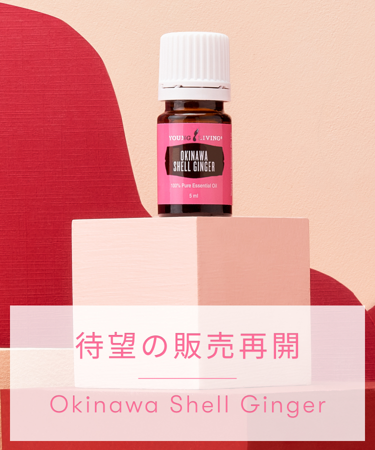 再販スタート｜沖縄 月桃（タイリン）エッセンシャルオイル - ヤング