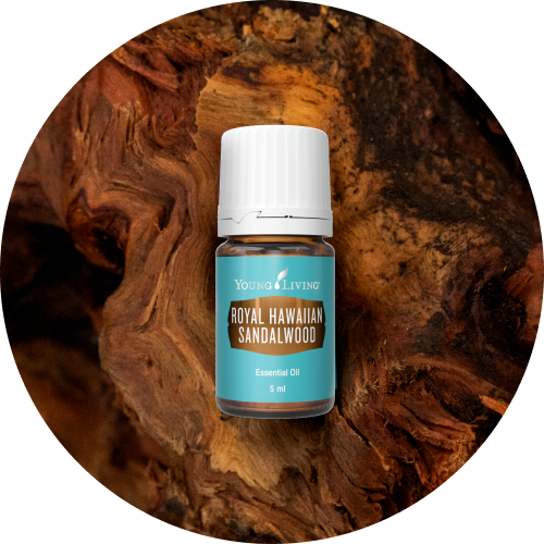 コナ サンダルウッド植林プロジェクト｜森林再生の支援活動 - ヤング