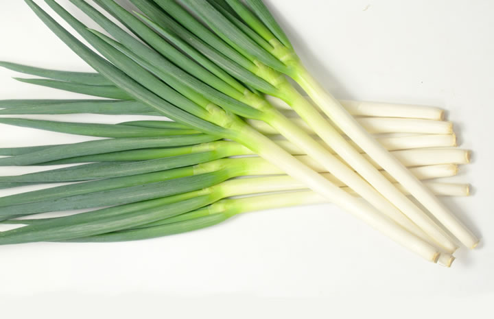 ネギ一覧｜商品情報 - 野菜 | 横浜植木
