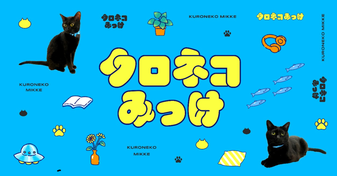 黒猫みんと 黒猫ミント 黒猫みんと 黒猫みんと みんとにゃ