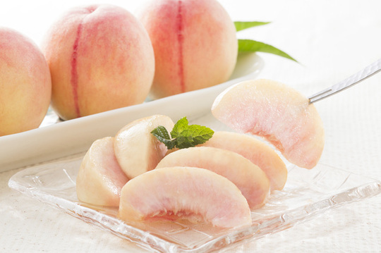 黄金桃の苗木（販売） - 果樹苗木の生産・販売 株式会社吉岡国光園