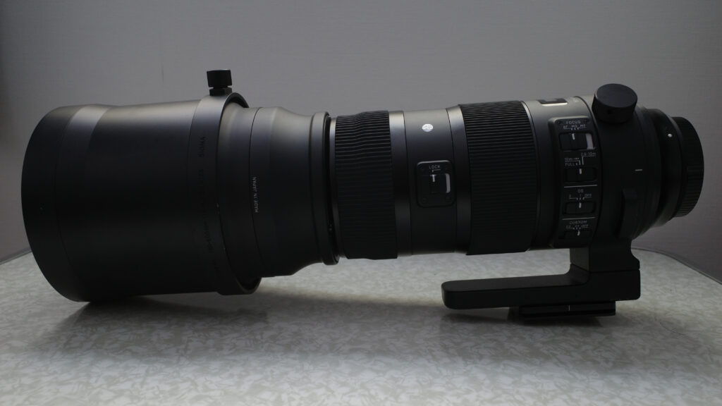 Sigma 150-600mm F5-6.3 DG OS HSM Sports テレコンキットで超望遠