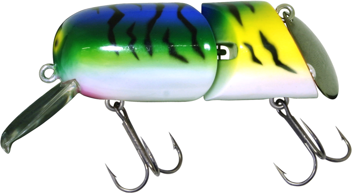 イマカツ 超レア⁈フィジェット FIDGET フィジェット ｜ IMAKATSU ｜