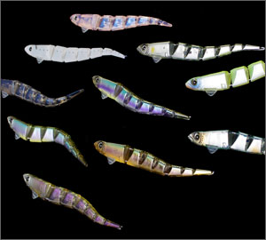 RACING SHIRAUO レーシングシラウオ ｜ IMAKATSU ｜