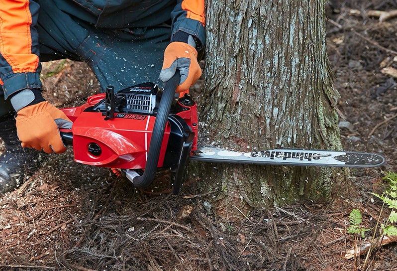 森の王へ。～ KING of THE FOREST ～ | 新ダイワ【公式】