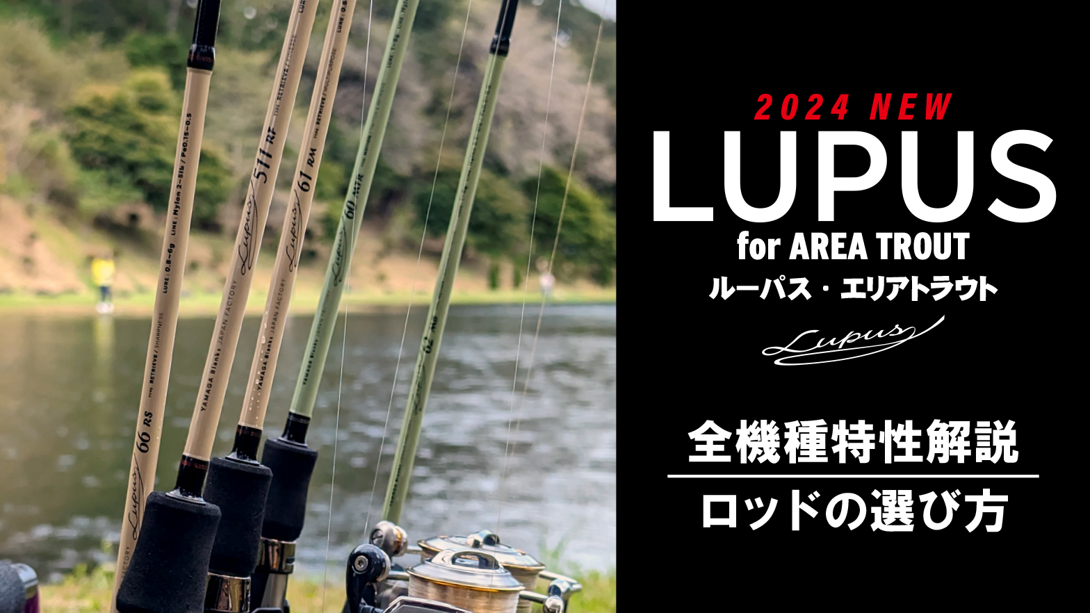 Lupus 66RS | YAMAGA BlanksYAMAGA Blanks