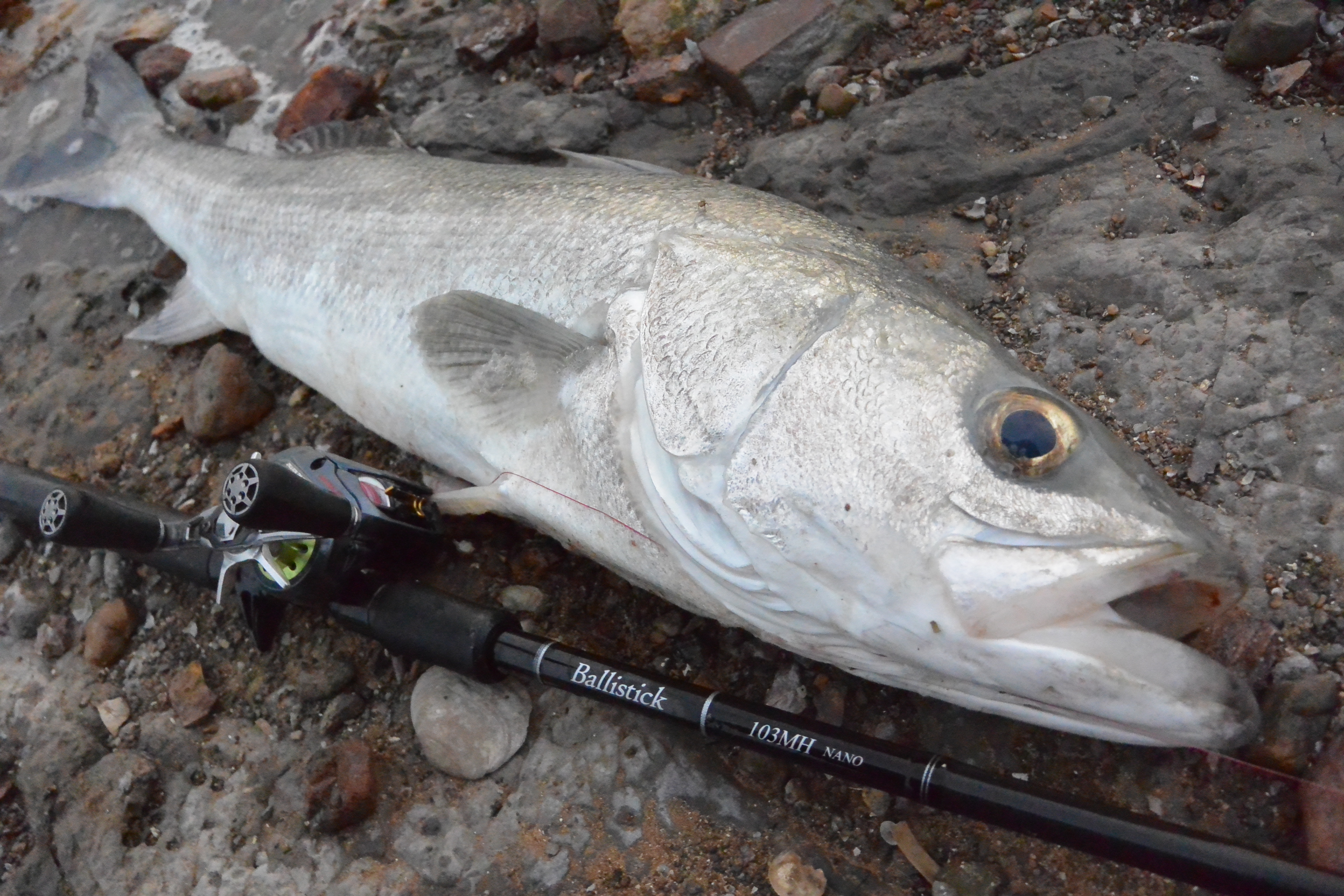 Ballistick Bait 810ML Nano River Custom & 103MH Nano | YAMAGA