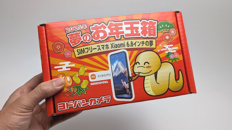 福袋】ヨドバシカメラから「2025年 お年玉箱」が届いたから開封！中身