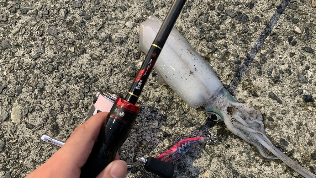 月下美人EX76ML-T 剛(GOU)買ったのでレビューします！目指せ尺メバル