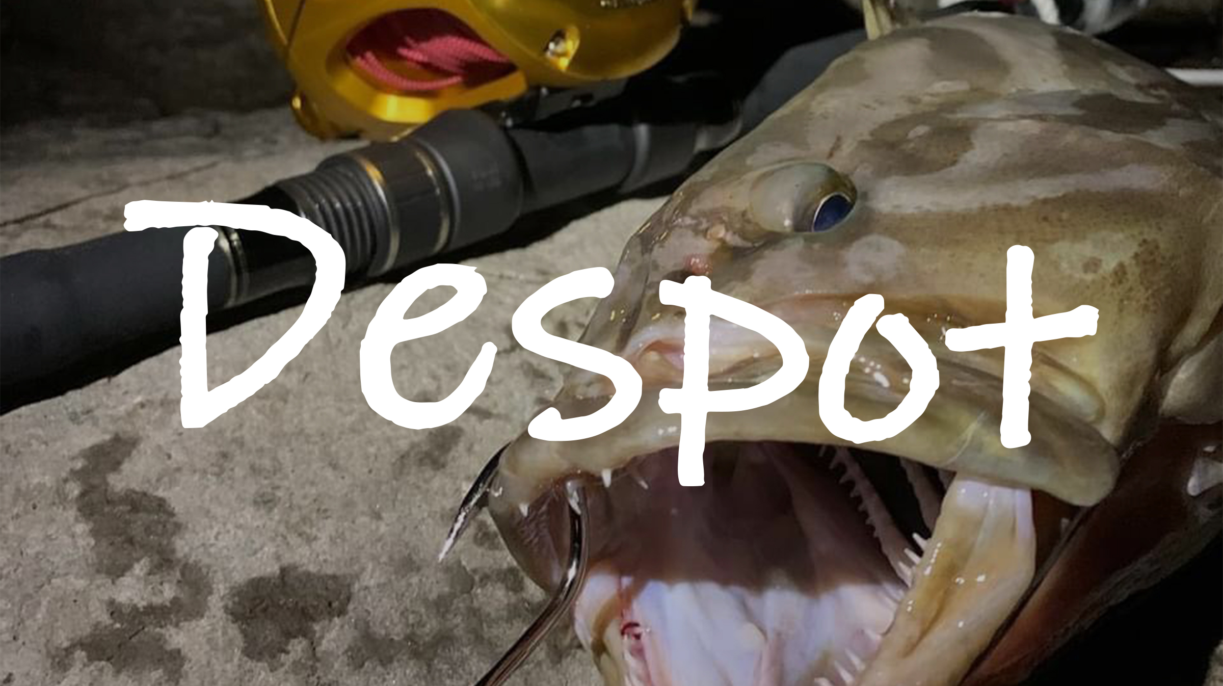 Despot（デスポート） - ZENITH（ゼニス）：ロッド