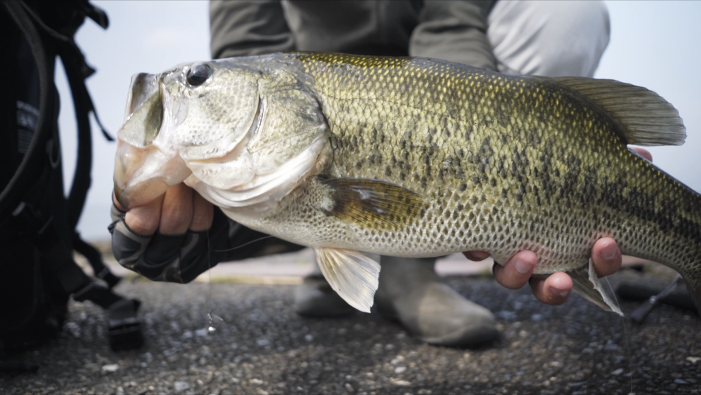 ダイワ ハートランド722LRS-21｜購入・使用インプレ - Kの