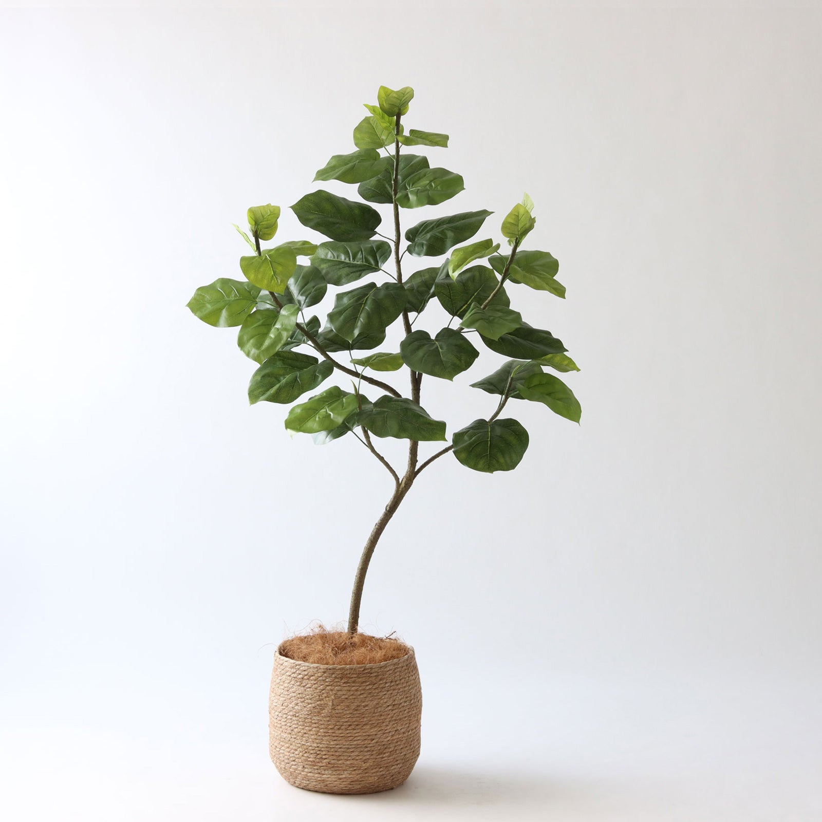 No9283 プレミアム光触媒フェイクグリーン 「柔らかな葉 × バランスの