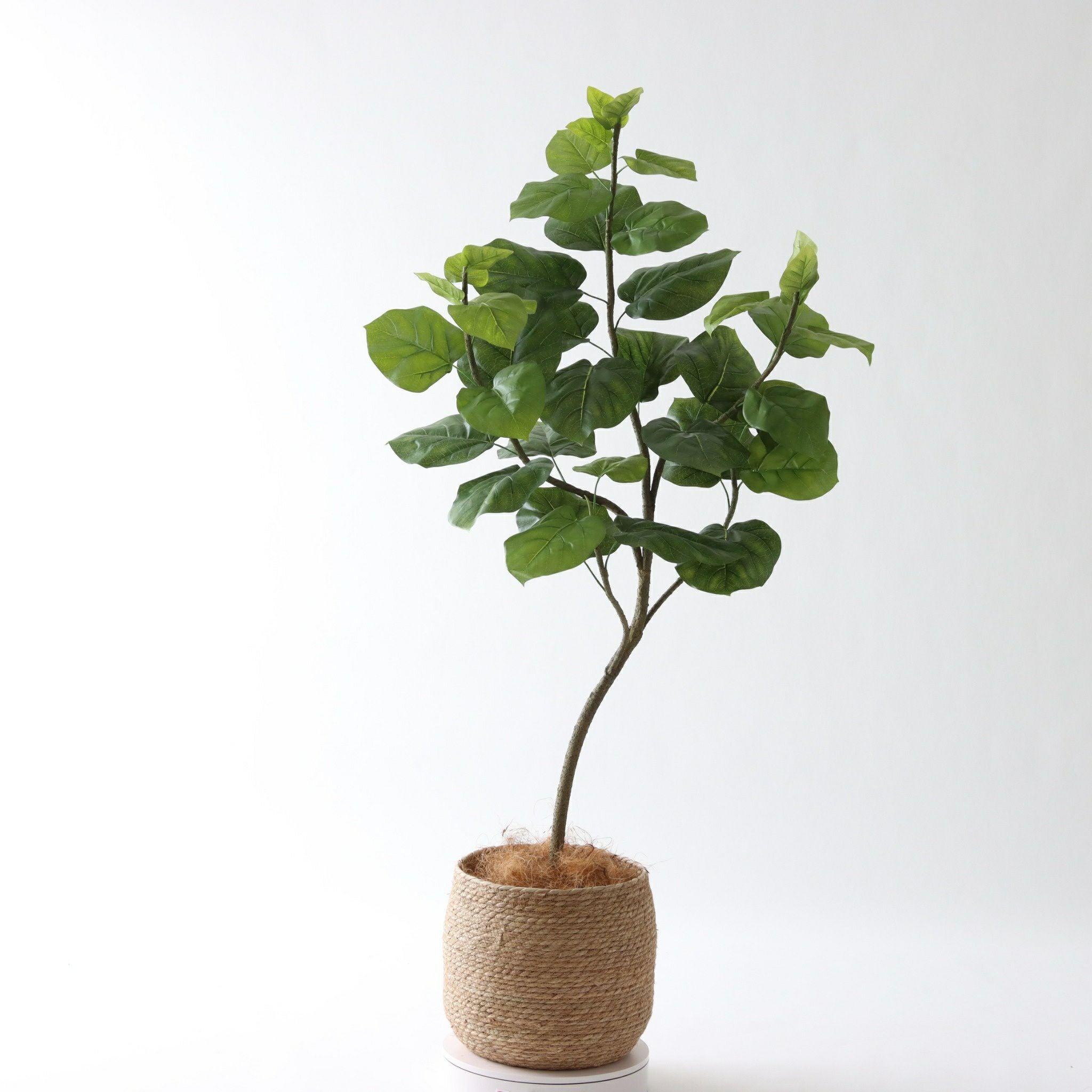 No9283 プレミアム光触媒フェイクグリーン 「柔らかな葉 × バランスの