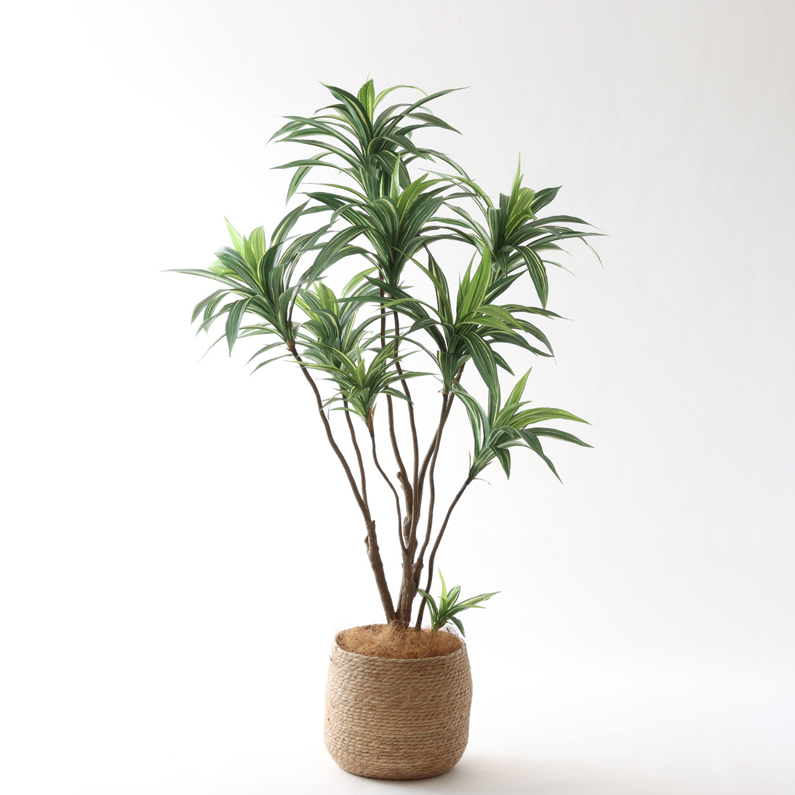 No9283 プレミアム光触媒フェイクグリーン 「柔らかな葉 × バランスの