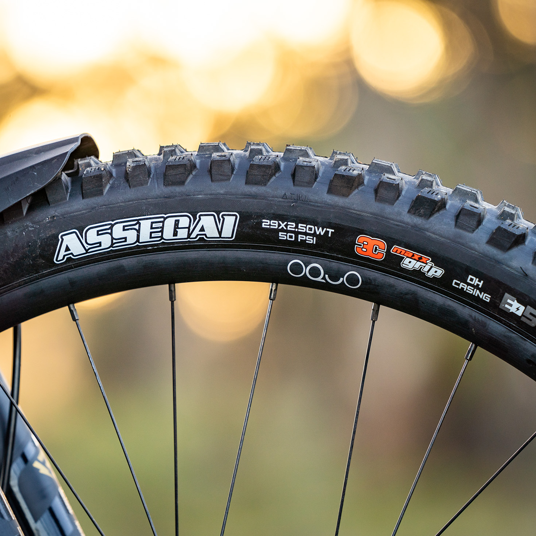 MAXXIS ASSEGAI ダウンヒルチューブレス MTB 自転車タイヤ 29 27.5