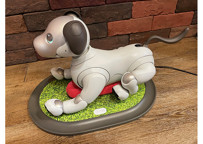関連グッズ | aibo