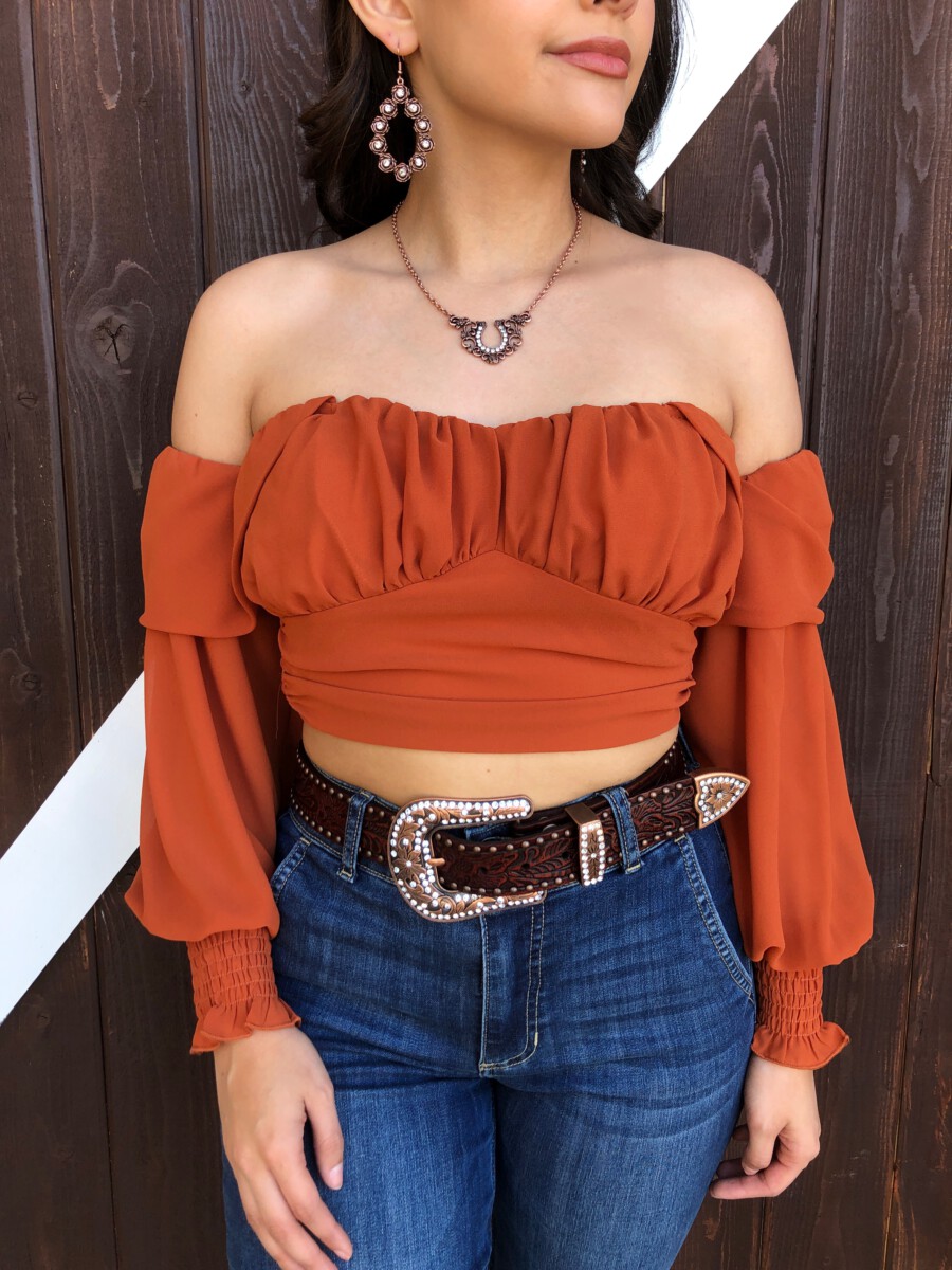 Delia ” Off Shoulder Crop Top ( Rust ) – Ale Accessories