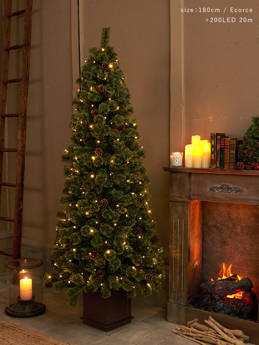 アルザスツリー ポット 樅 – alsace_tree