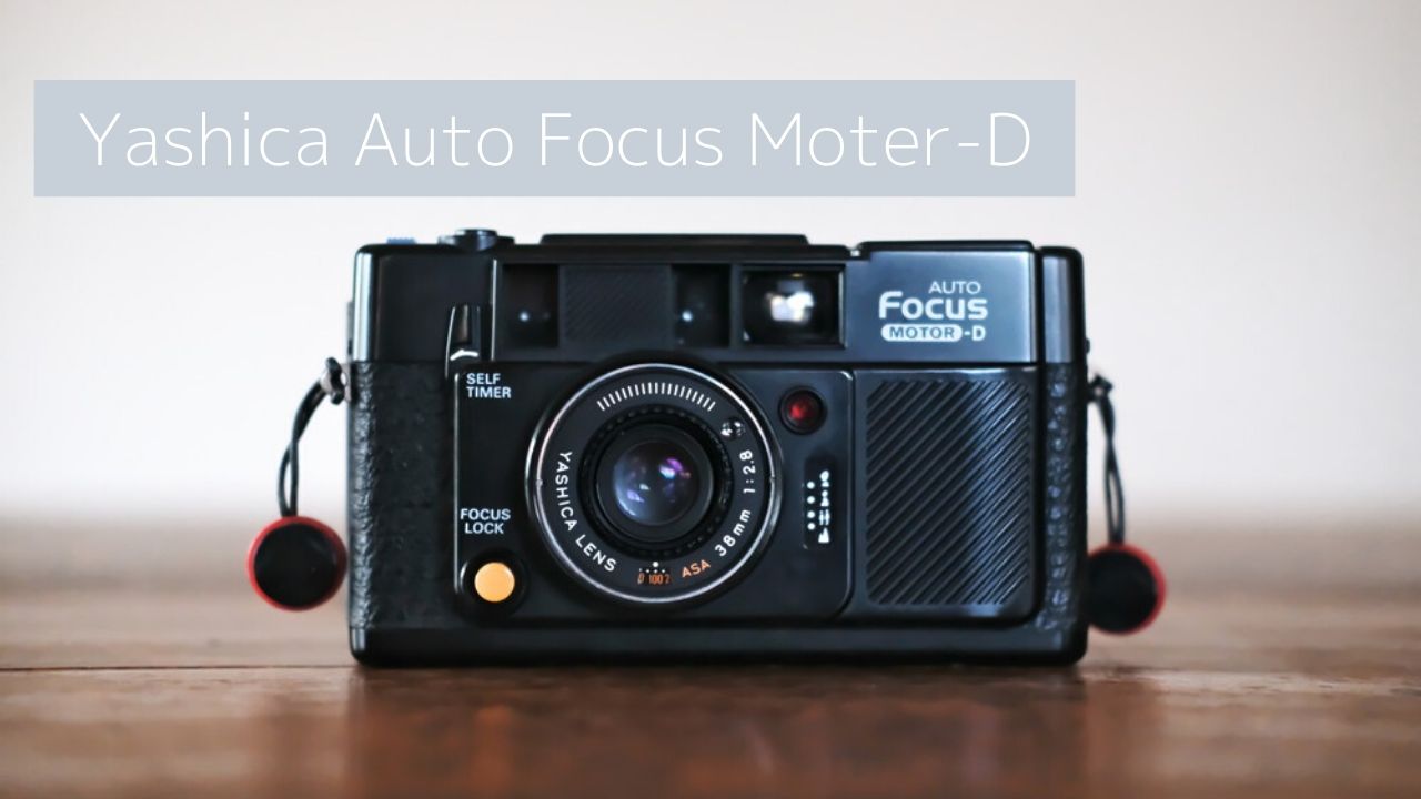 作例】Yashica Auto Focus Moter-Dは全自動で初心者でも楽しめる