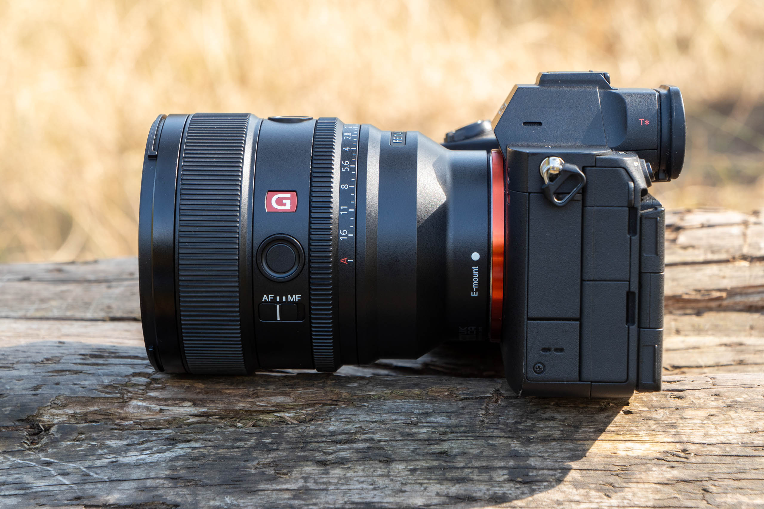 Sony FE 85mm F1.4 GM II review: perfect portrait prime? | Amateur