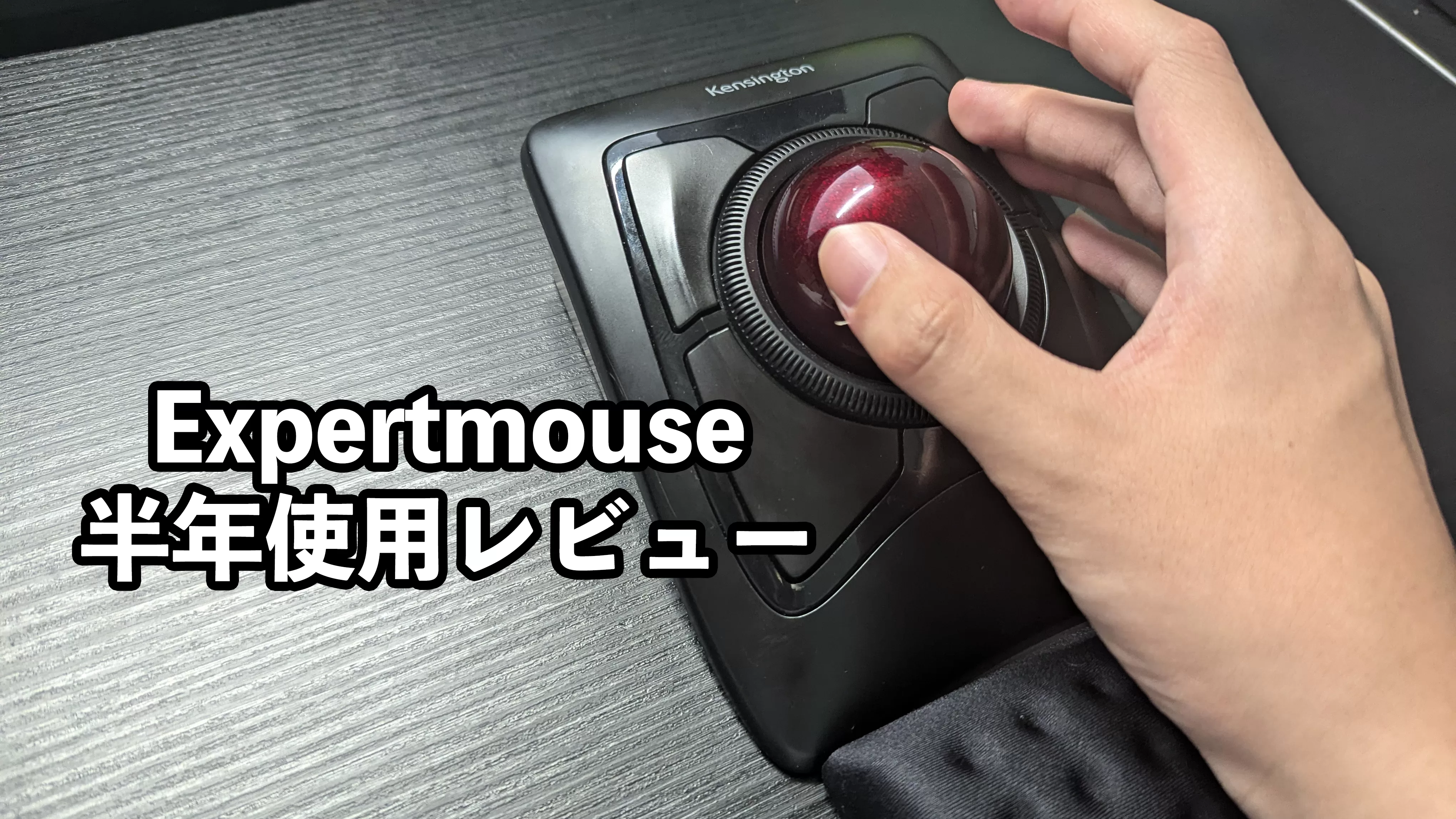 大玉トラックボールを半年使った感想 クセ強すぎるが大好き