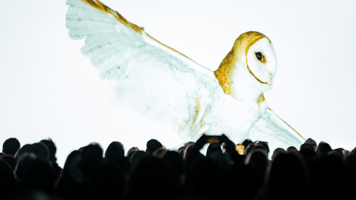 Bird - Andrew Zuckerman