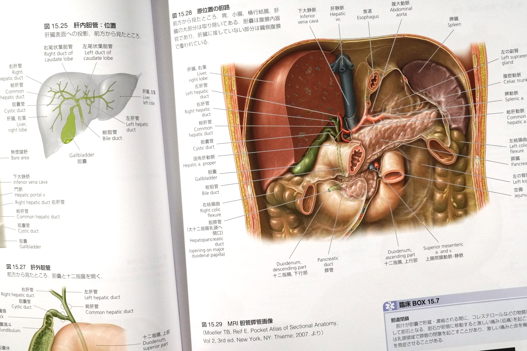 プロメテウス解剖学 コア アトラス 第4版 / Anatomy 今日も明日も