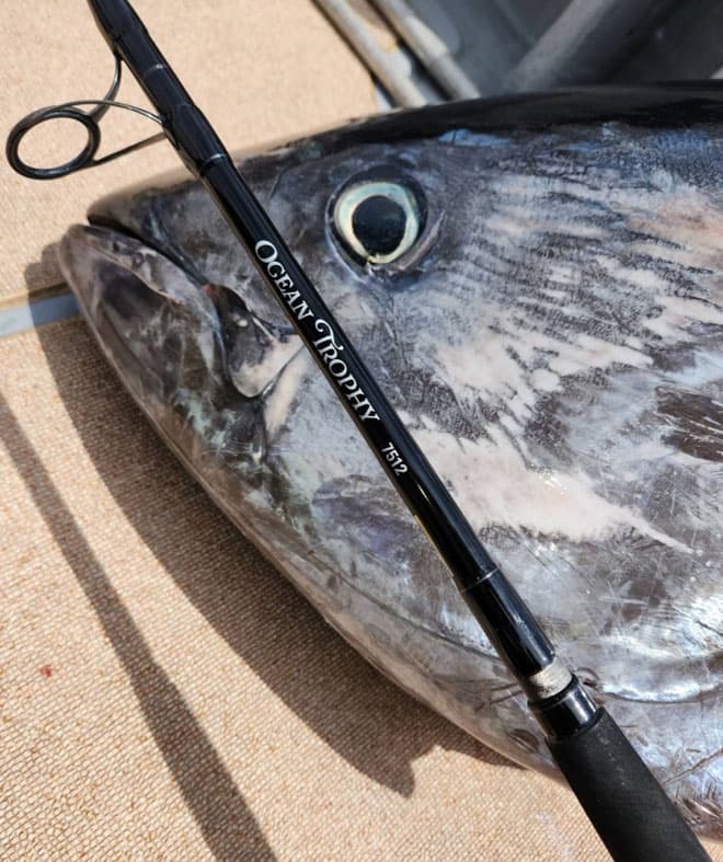 ロッドを立ててモンスター級と戦うSAKURA LURE DIVISIONマグロ