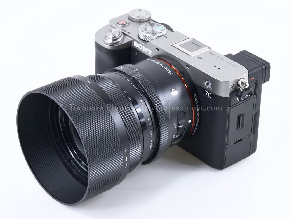 シグマ「35mm F2 DG DN」交換レンズレビュー 近距離解像力編 - とるなら