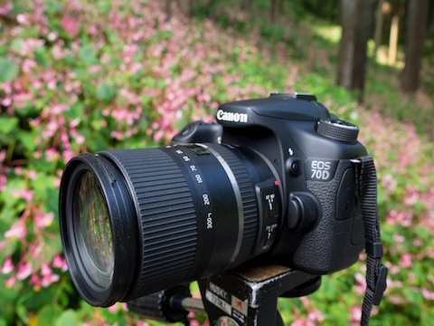 特別企画：タムロン「16-300mm F/3.5-6.3 Di II VC PZD MACRO」 リレー