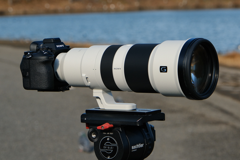 想像を上回る ソニー「FE 400-800mm F6.3-8 G OSS」の“野鳥撮影力