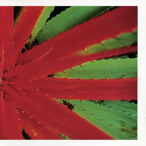 Jejune - This Afternoons Malady - Boomkat