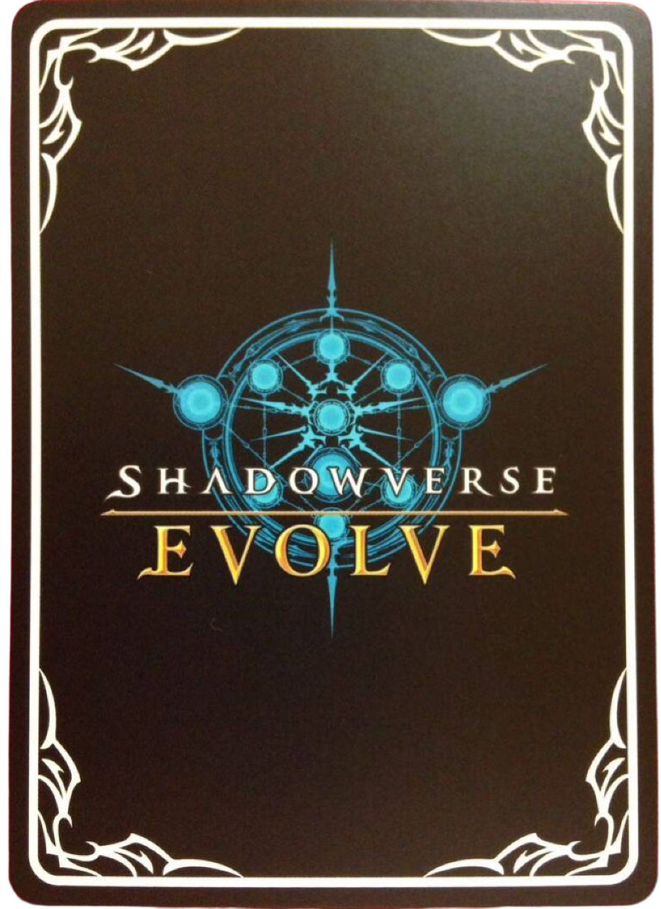 状態B 銀の茨の竜使い ルキエ UR CP03-U03 シャドウバース エボルヴ